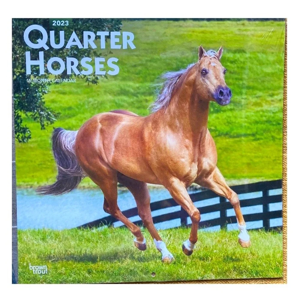Calendar “Quarter Horses” Sixteen Months Brand New Gorgeous Photography